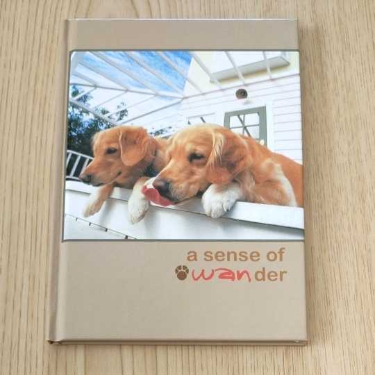 Access浅倉大介 ミニ写真集 ミュージシャンの本 売買されたオークション情報 Yahooの商品情報をアーカイブ公開 オークファン Aucfan Com