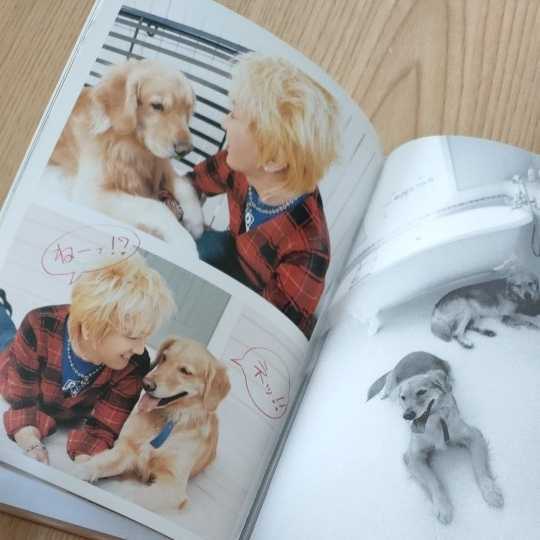 Access浅倉大介 ミニ写真集 ミュージシャンの本 売買されたオークション情報 Yahooの商品情報をアーカイブ公開 オークファン Aucfan Com