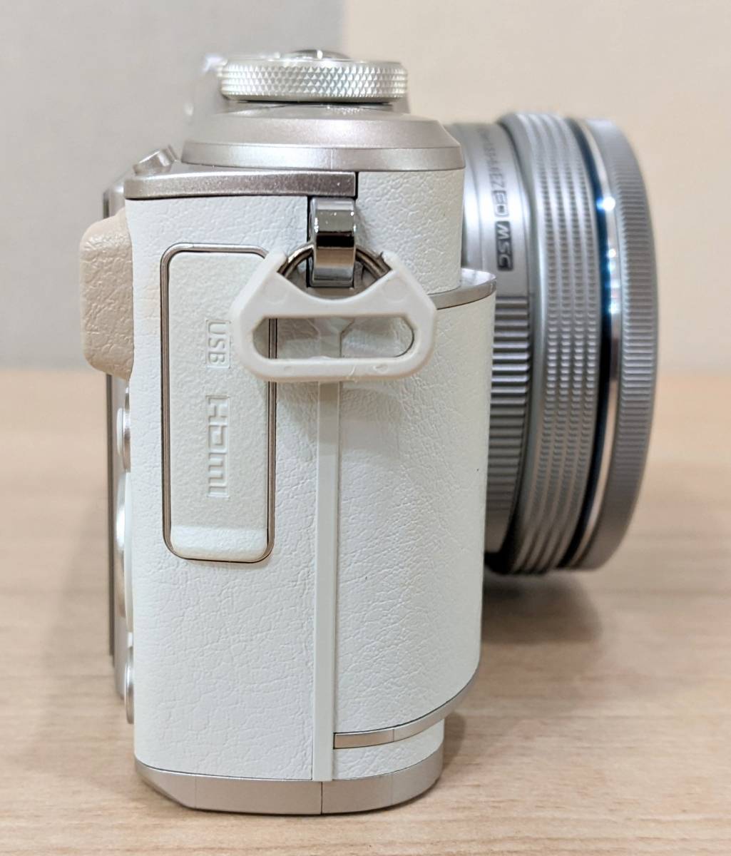 E-PL9 PEN OLYMPUS ☆極美品☆オリンパス EZダブルズーム ☆動作OK