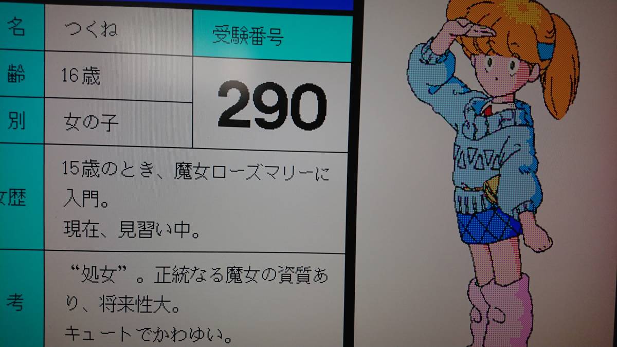 美品 希少品〕PC98〔 Tsukune chan no Daibouken つくねちゃんの大