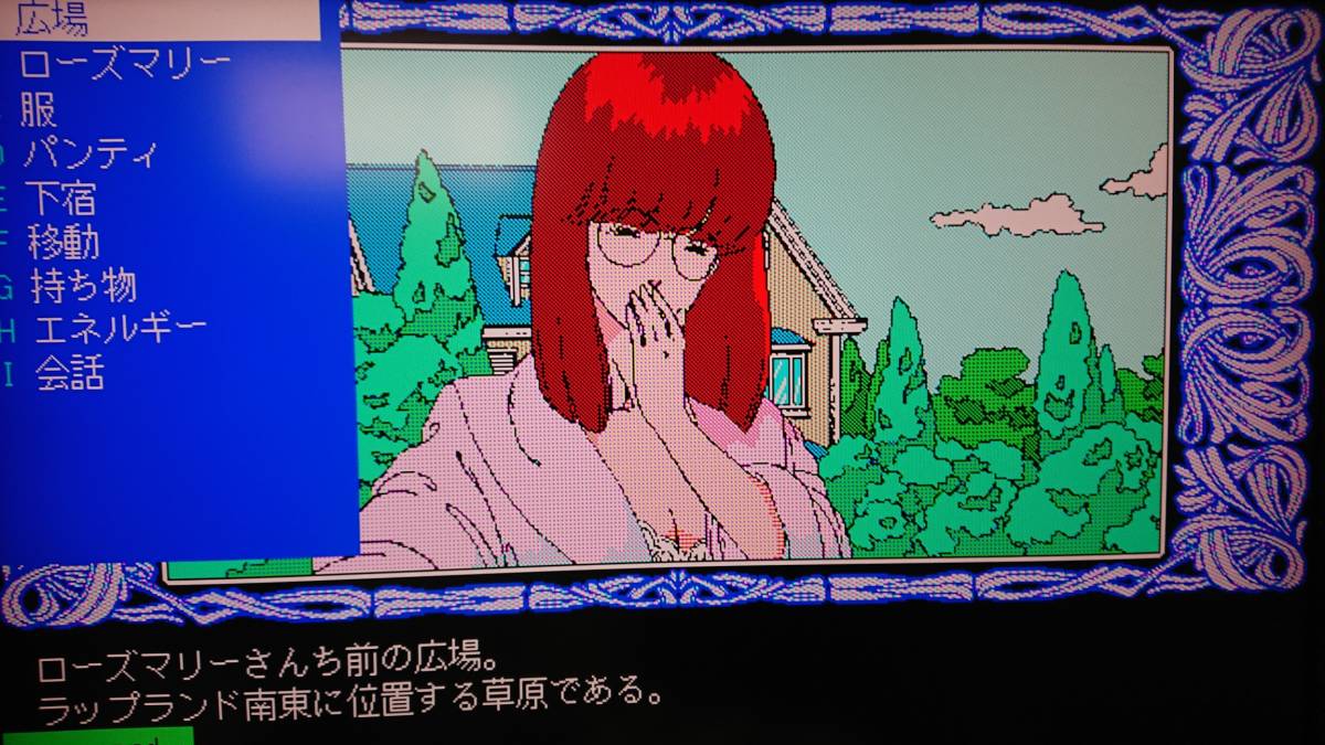 PC-9801 5インチソフト 激レア・完品 つくねちゃんの大冒険 ハガキ付 美品 希少品〕PC98〔 Tsukune chan no Daibouken つくねちゃんの大