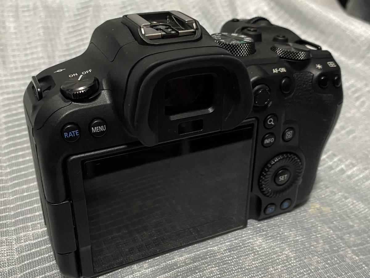 極美品 Canon EOS R6 ボディ動作保証・外箱バーコードあり・予備