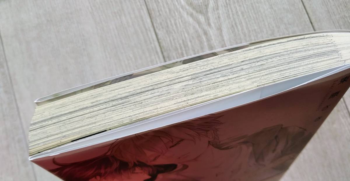 サイン本 パウダースノーメランコリー2 束原さき Qpa Collection 竹書房 ボーイズラブ 売買されたオークション情報 Yahooの商品情報をアーカイブ公開 オークファン Aucfan Com