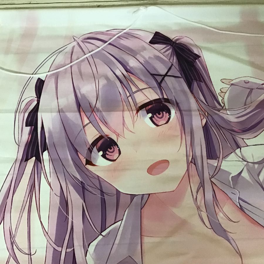 現状】絵師 イラストレーター タペストリー まとめ売り kino , 涼香