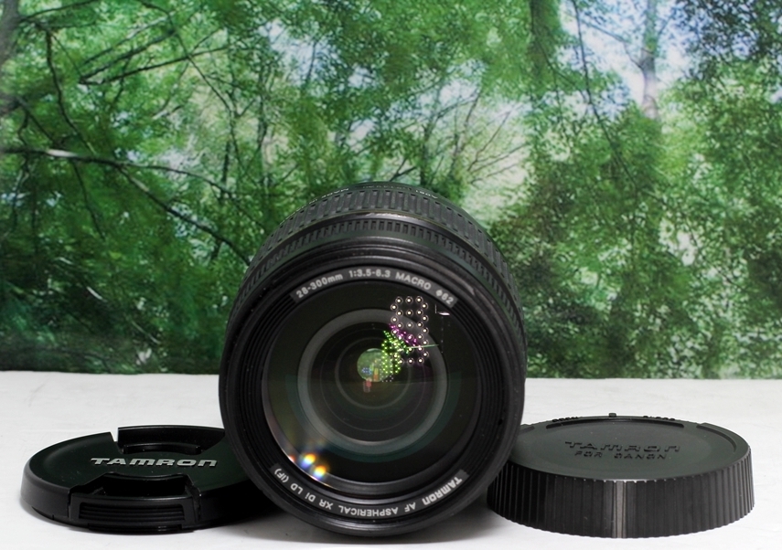 ☆軽くて近くも遠くも撮れる超便利な1本♪TAMRON 28-300mm XR LD canon