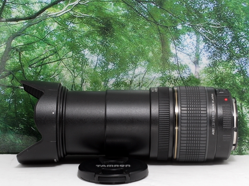 ☆軽くて近くも遠くも撮れる超便利な1本♪TAMRON 28-300mm XR LD canon