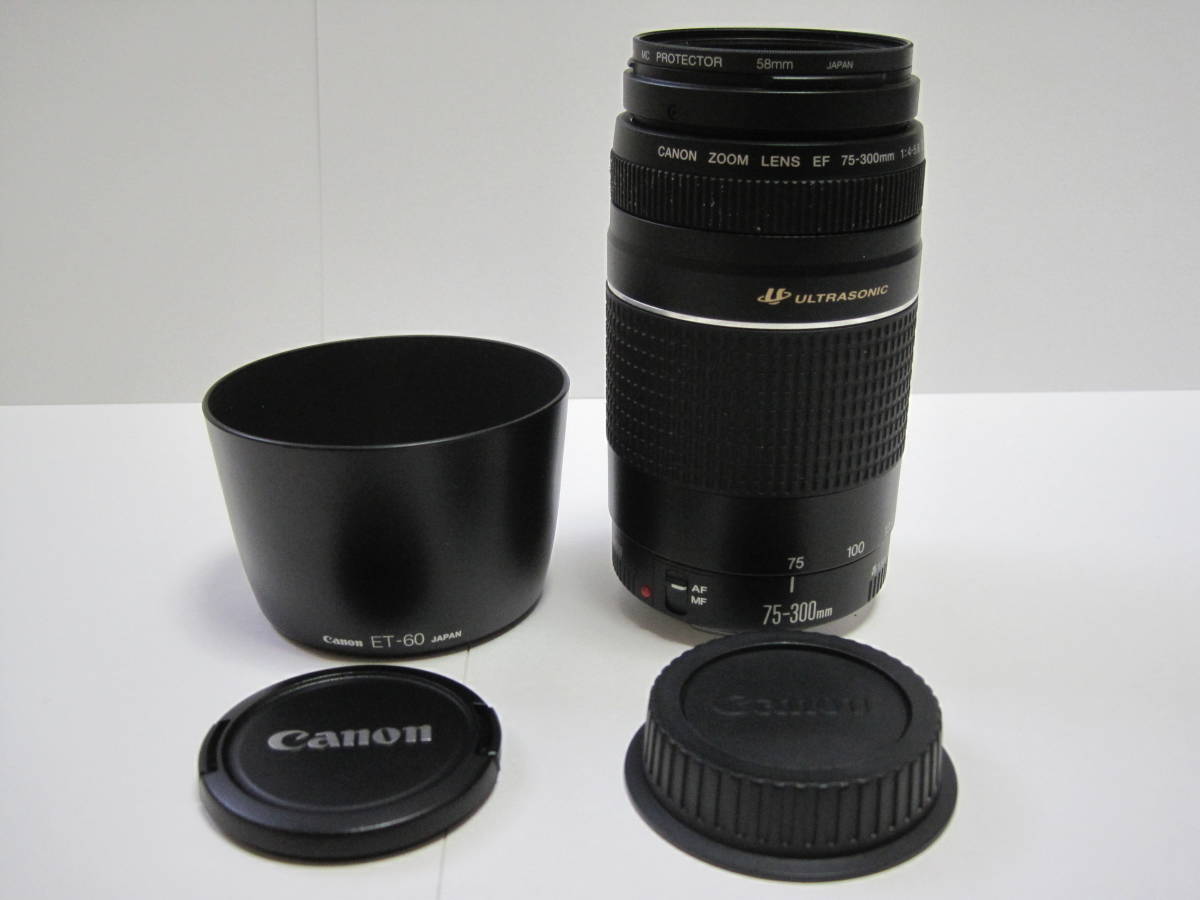 キャノン望遠レンズ EF 75-300mm F/4-5.6 Ⅲ USM 【公式通販】