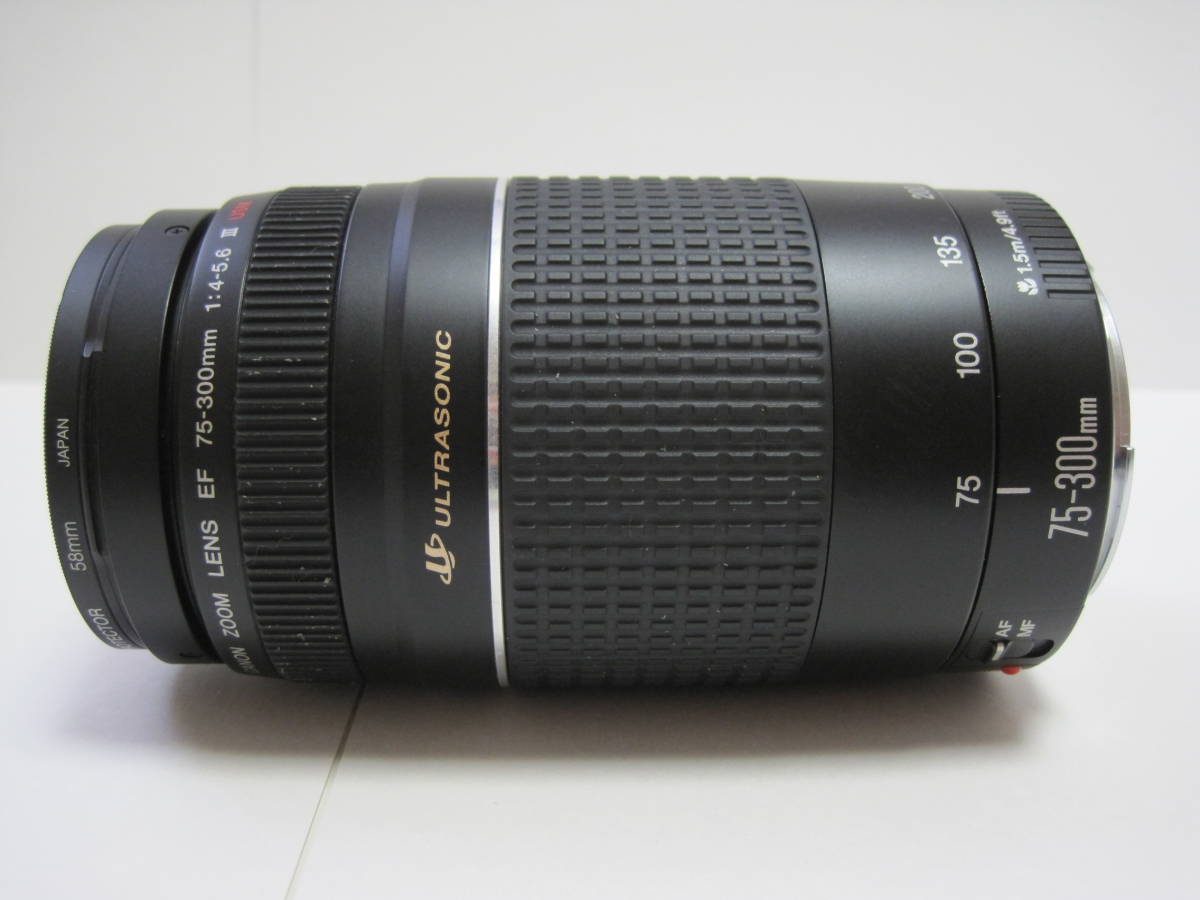 キャノン望遠レンズ EF 75-300mm F/4-5.6 Ⅲ USM 【公式通販】