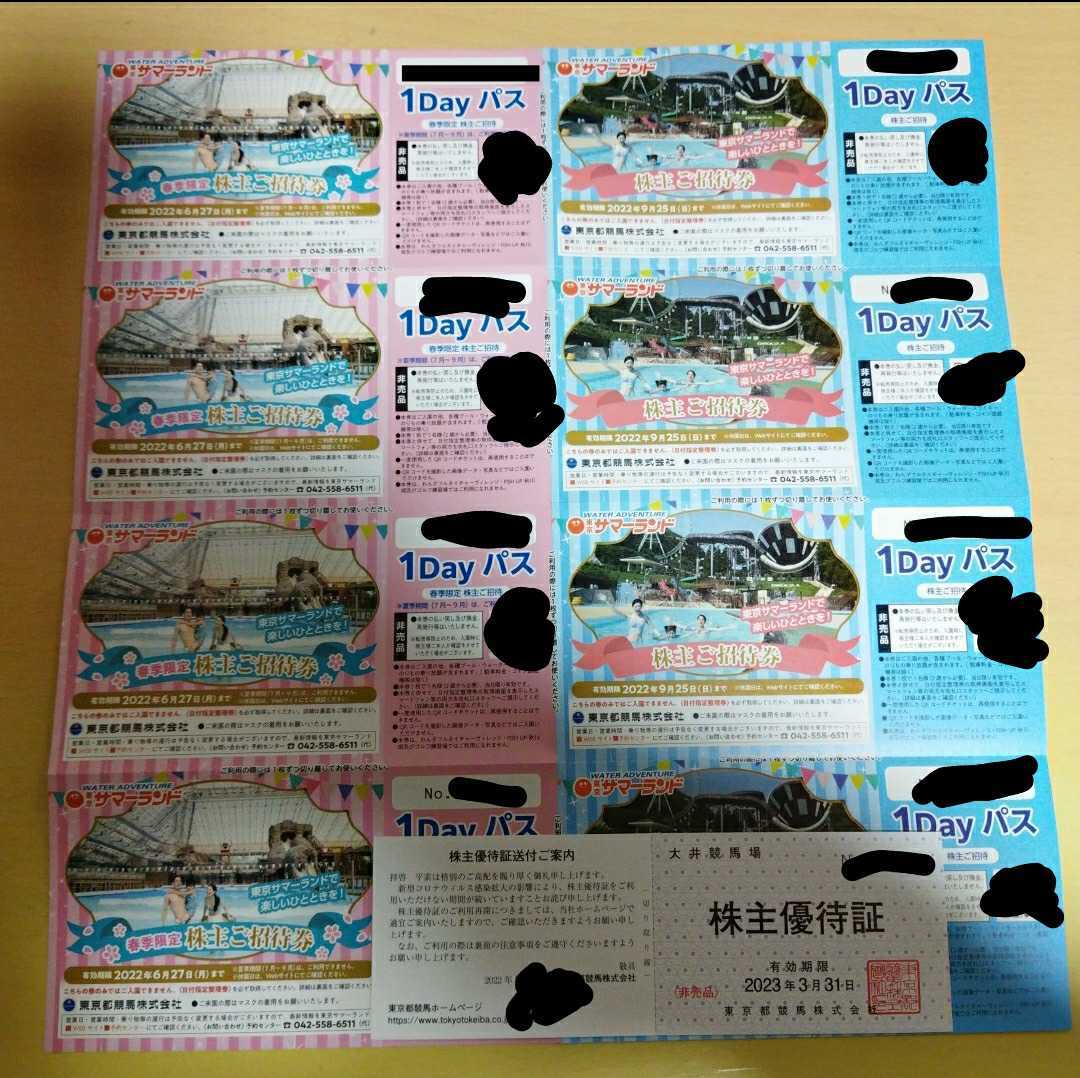 施設利用券 最新 東京都競馬 株主優待 東京サマーランド 1Dayパス 12枚