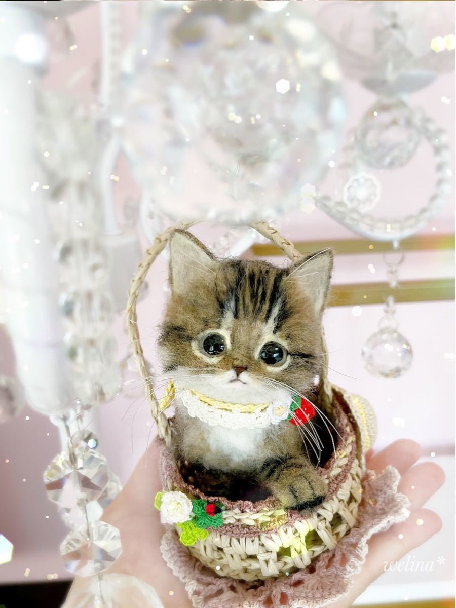 羊毛フェルト猫 フレーム リアル可愛いブリティッシュロングヘア