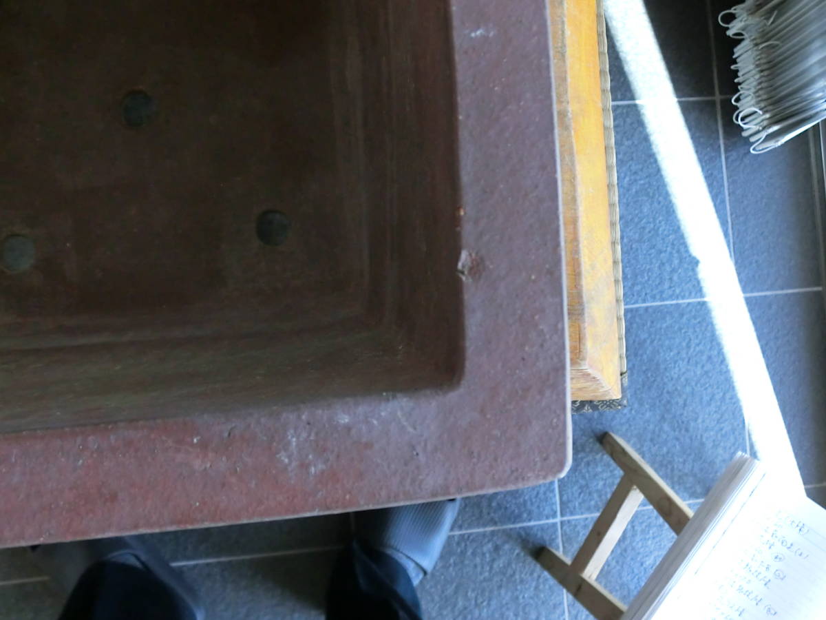 h1046640984.4