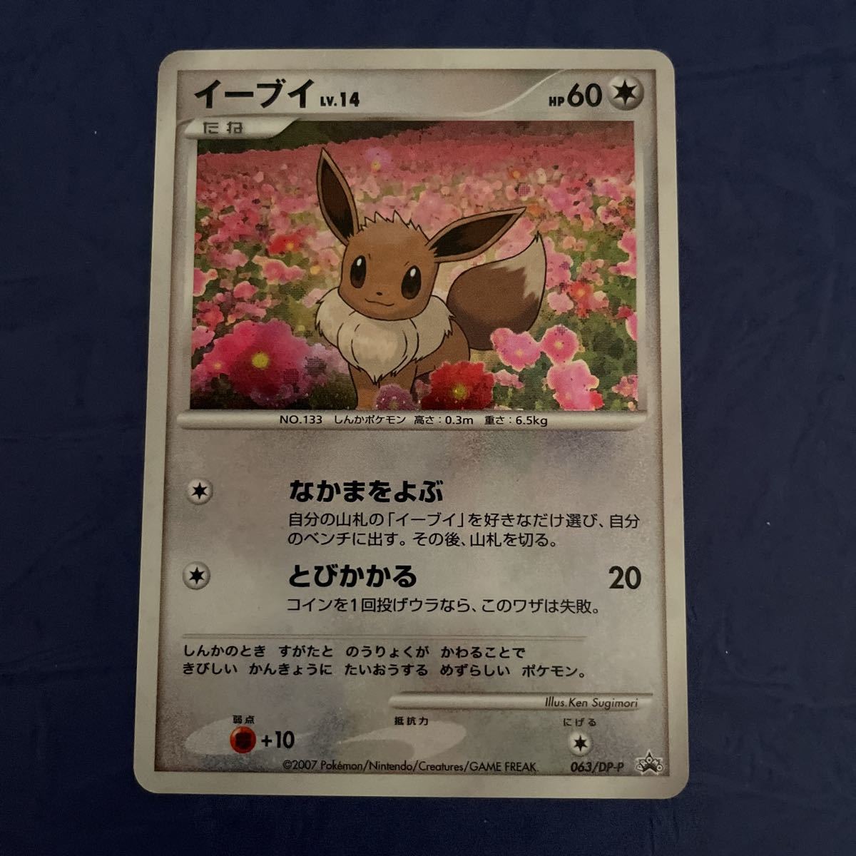入手困難☆2007ポケモンカード イーブイLv.14 HP60☆PoKeMoN Nintendo