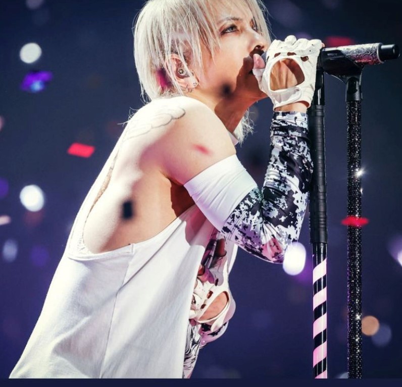 HYDE 白黒総柄アームウォーマー (F) 新品 ラルク VAMPS(L'Arc-en-Ciel