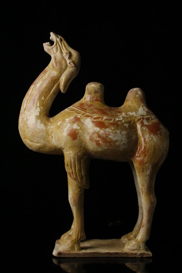 LIG】中国美術 加彩 駱駝俑 特大54㎝ 置物 時代古玩 コレクター収蔵品