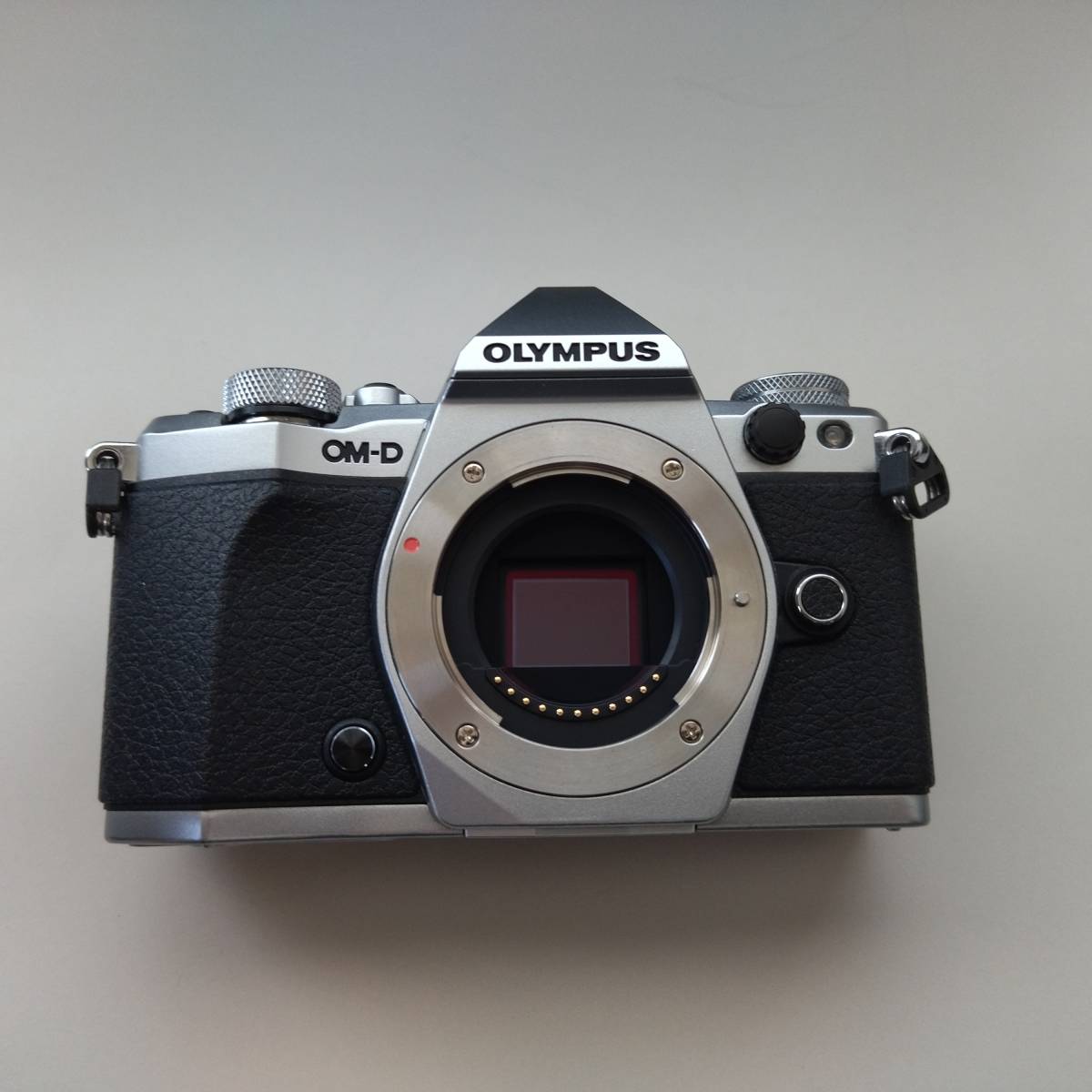 1円スタート】【極美品】899回 防塵 防水 OLYMPUS OM-D E-M5 Mark