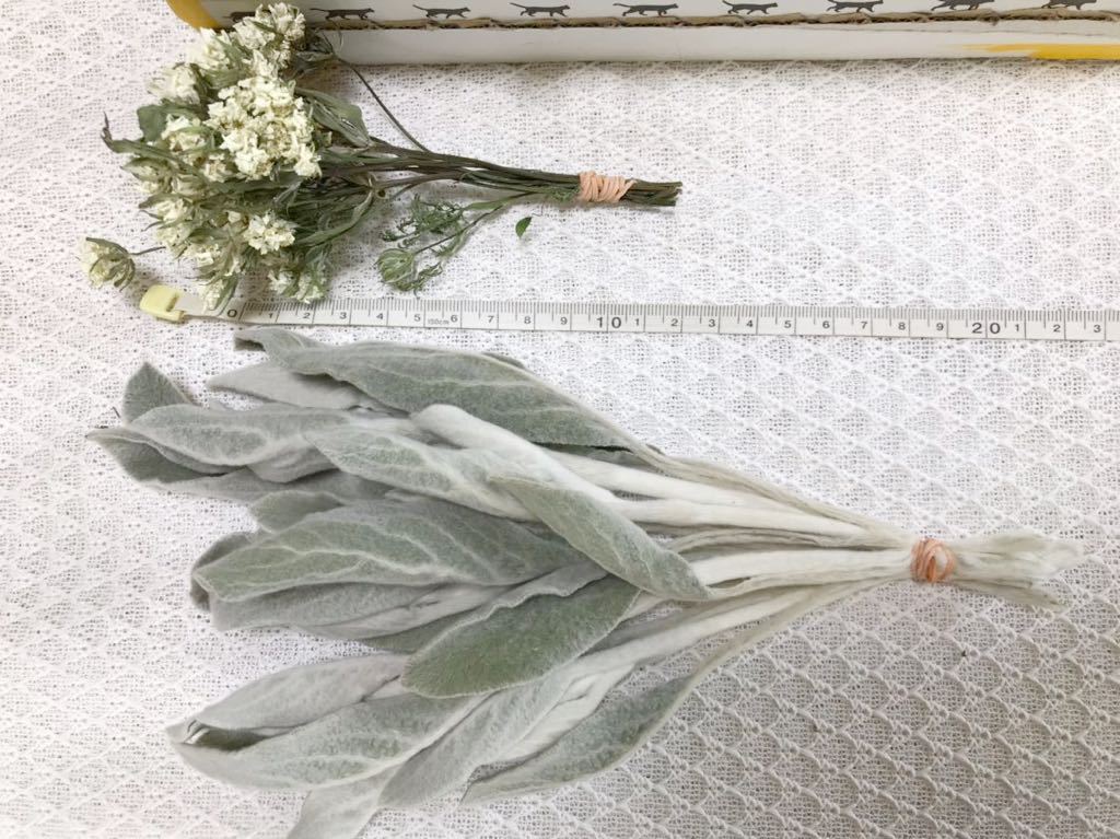 オルレア30本 ラムズイヤー15本 ドライフラワー スワッグ リース ハーバリウム 花材 一般 売買されたオークション情報 Yahooの商品情報をアーカイブ公開 オークファン Aucfan Com