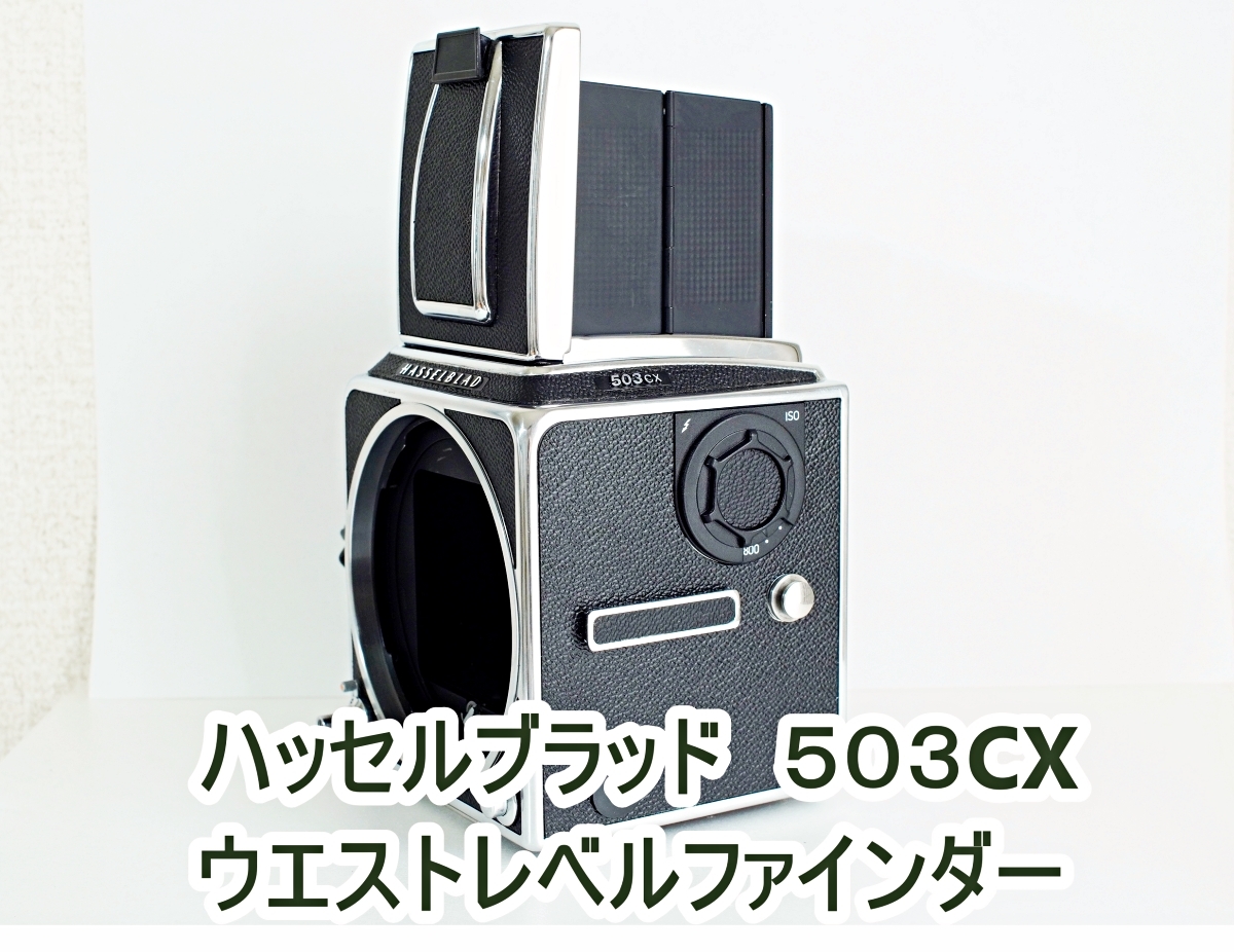 ジャンク扱い】ハッセルブラッド 503CX HASSELBLAD 中判フィルムカメラ