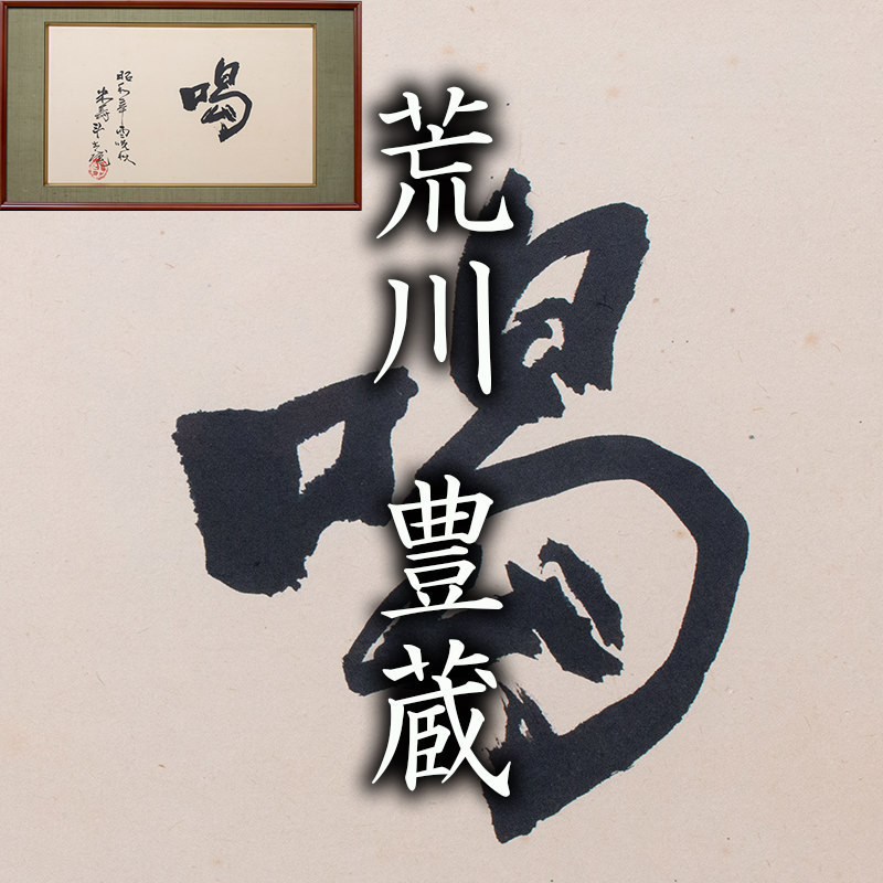 51tUHXqJFpL._SL500_