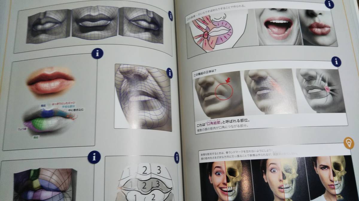 帯付き/中古】スカルプターのための美術解剖学 Anatomy For Sculptors 