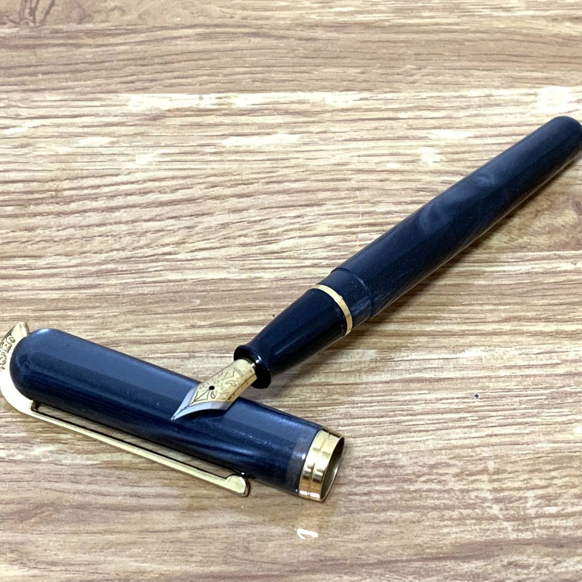 万年筆 ビスコンティ VISCONTI ヴィスコンティ ディヴィーナ