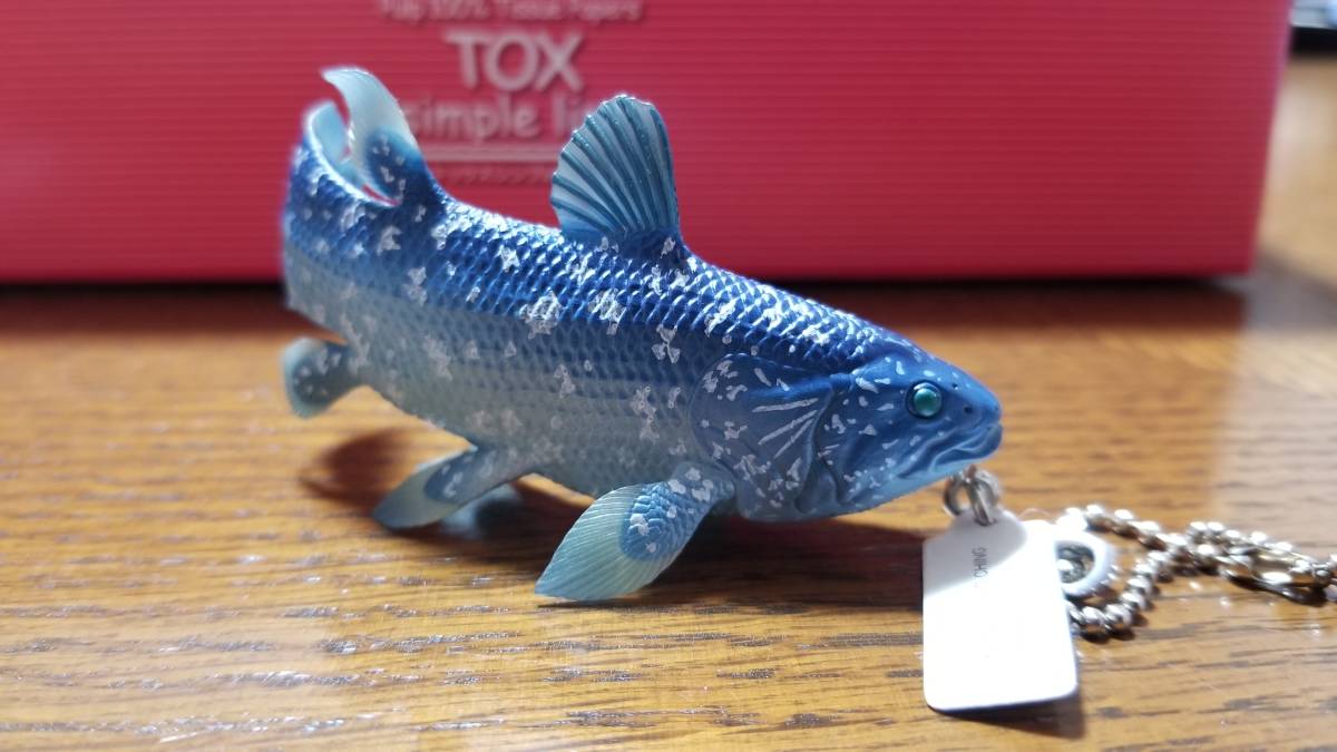 深海ガチャ シーラカンス 1個 生き物 売買されたオークション情報 Yahooの商品情報をアーカイブ公開 オークファン Aucfan Com