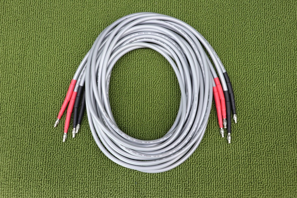 2025，爆買い 1円〜 3.0m Audio Note オーディオノート AN-SPx SILVER 銀