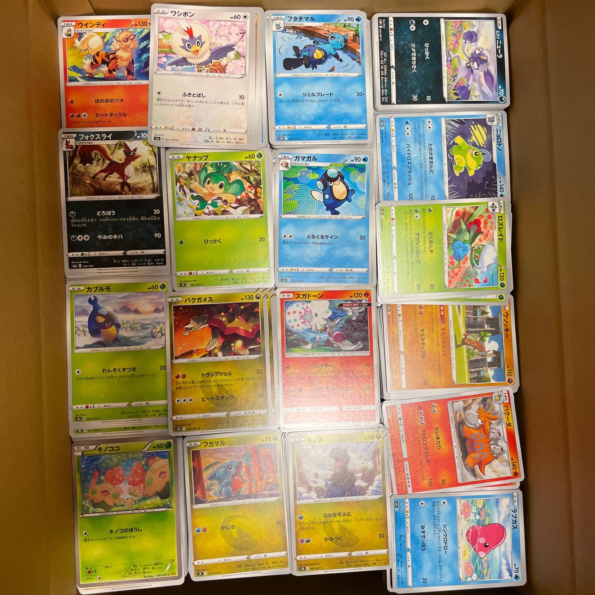 ポケカ Ss Sm新裏面モンスター大量約枚e ヨワシ げんちしゅうごう アローラ ロコン ひみつのうらみち キノココ キノコのほうし 他 Www Galerieamlindenhof Ch