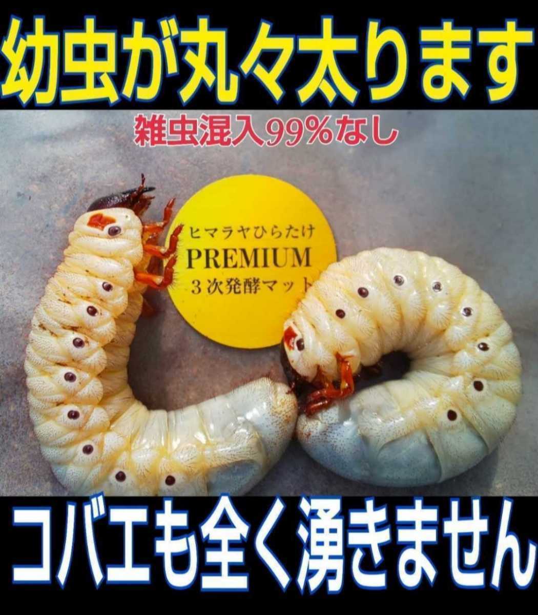 極上品！さらにグレードアップしたプレミアム3次発酵カブトムシ