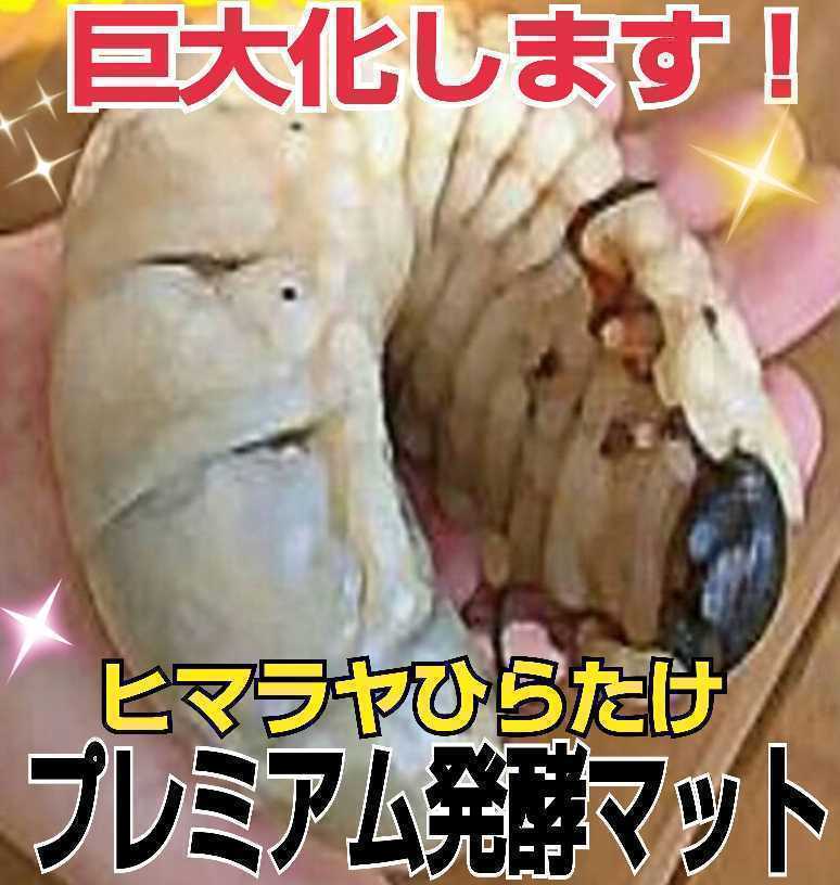 進化した！特選プレミアム3次発酵カブトムシマット【20L】微粒子☆特殊