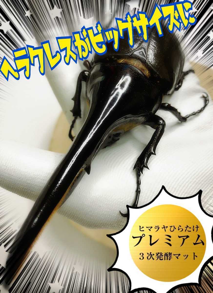 進化した！特選プレミアム3次発酵カブトムシマット【20L】微粒子☆特殊