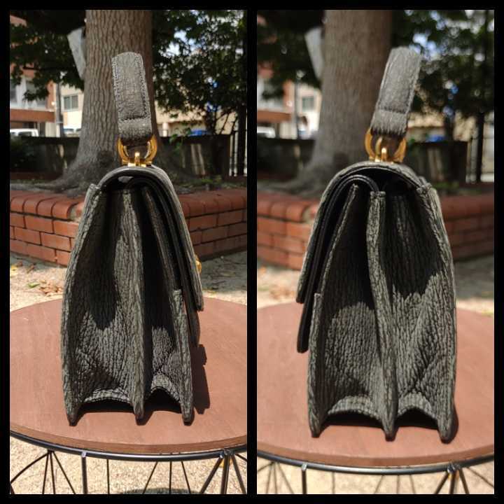 ☆美品☆CELENCEE シャークレザー 鮫革 Shake Leather ゴールド金具 