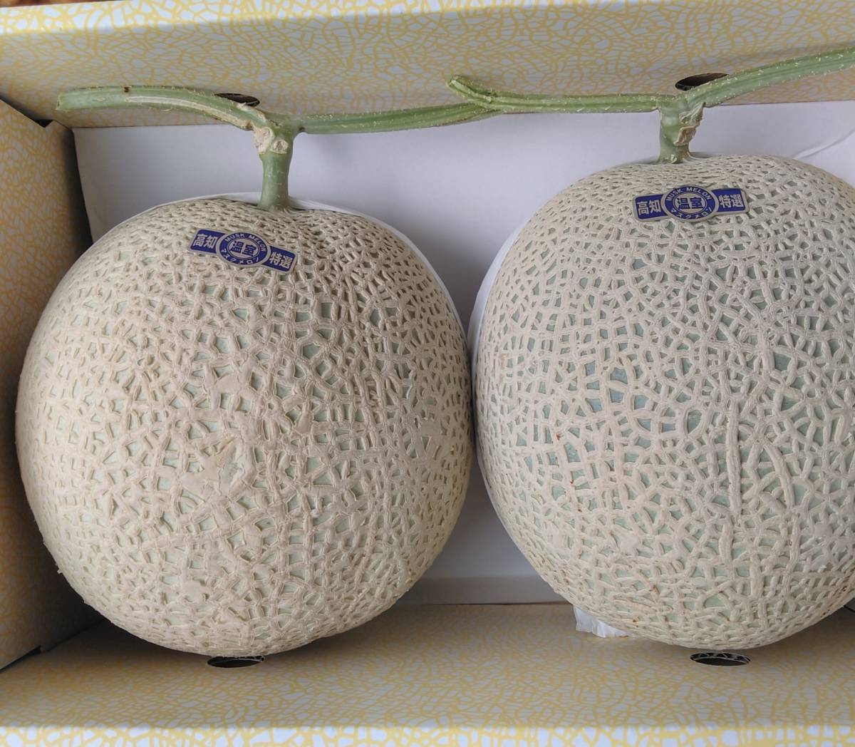 ☆送料無料 ☆約4，5～kg 高知産 マスクメロン 2玉入☆ 家庭用