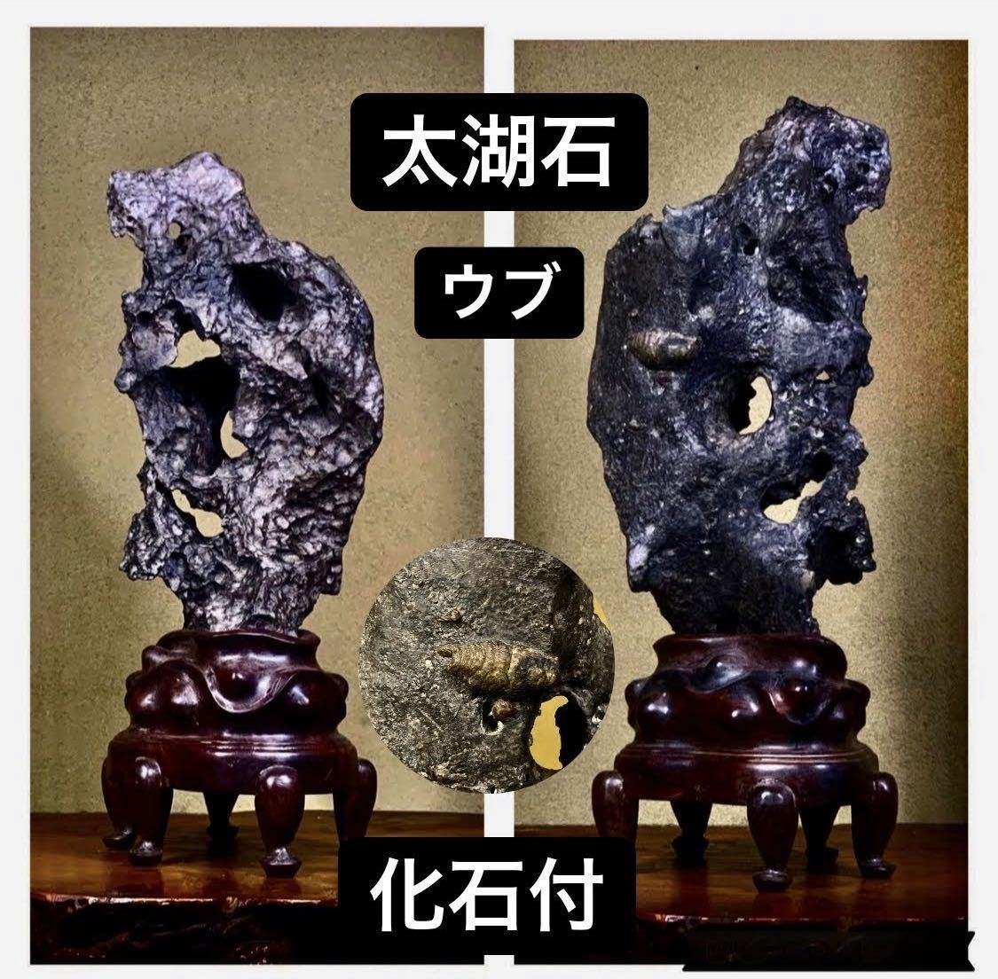 水石 信濃美術石博物館 太湖石 オールドコレクション 中国 天然石 山石
