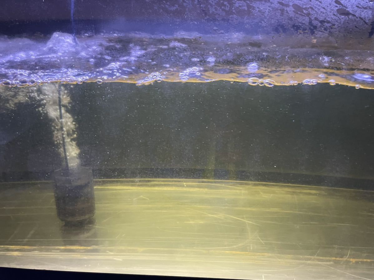 アクリル水槽 180 60 60 中古 室内利用 引取限定