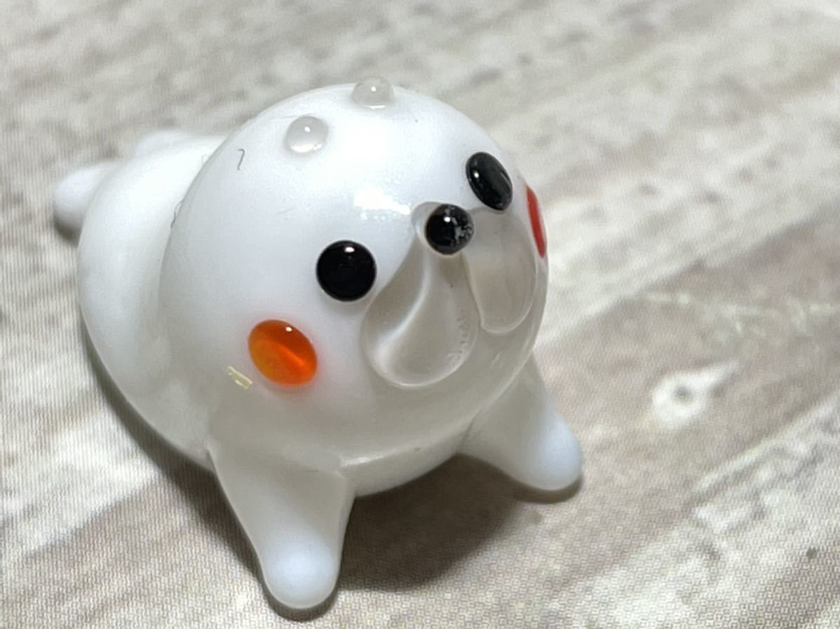 安心発送 可愛い 白アザラシちゃん Catalasarenas Com 安心発送 可愛い 白アザラシちゃん Catalasarenas Com