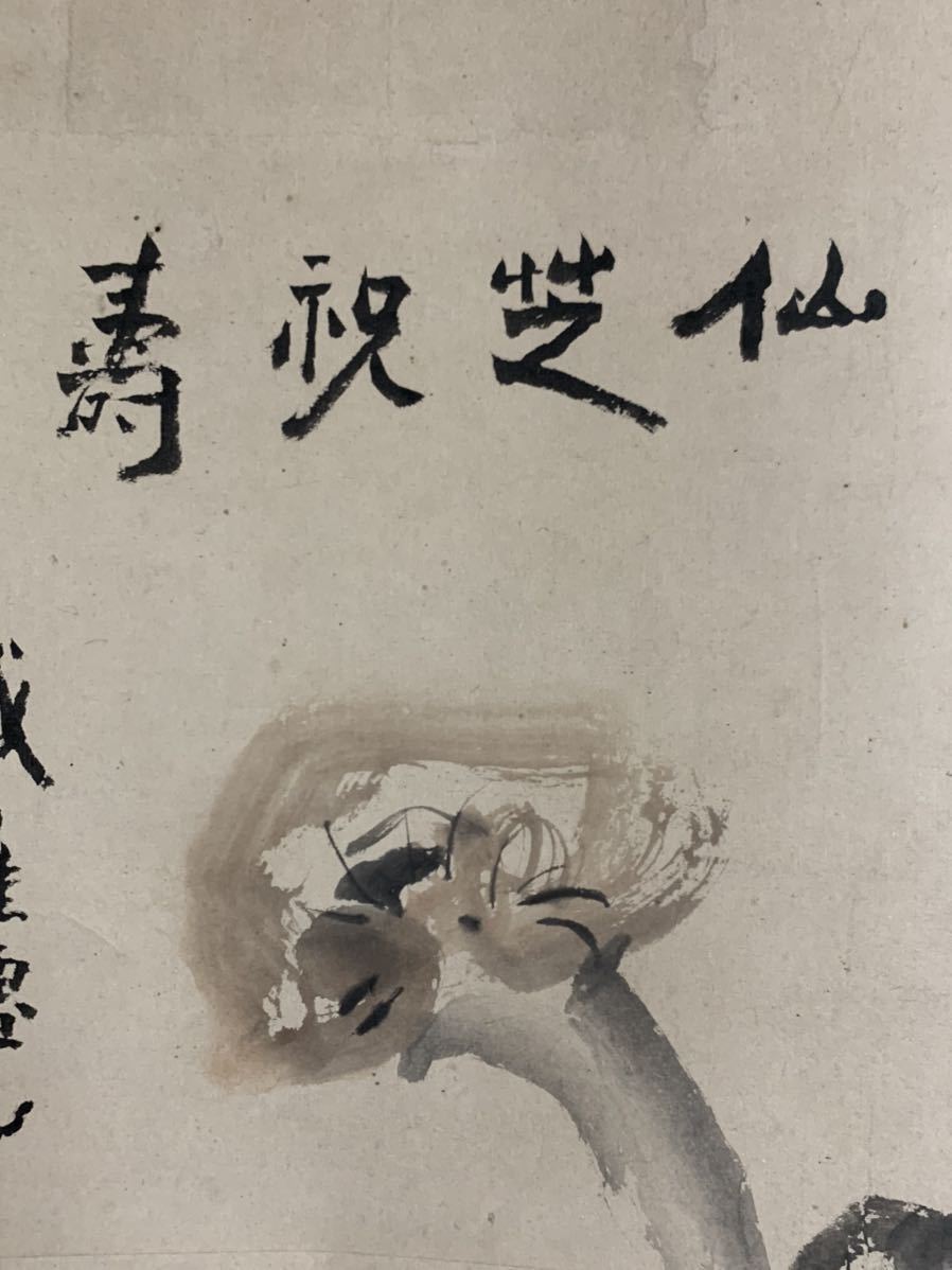富岡鉄斎 鉄崖銘 仙芝祝壽 霊芝図 瑞山人 画賛 紙本 肉筆 掛軸 文人