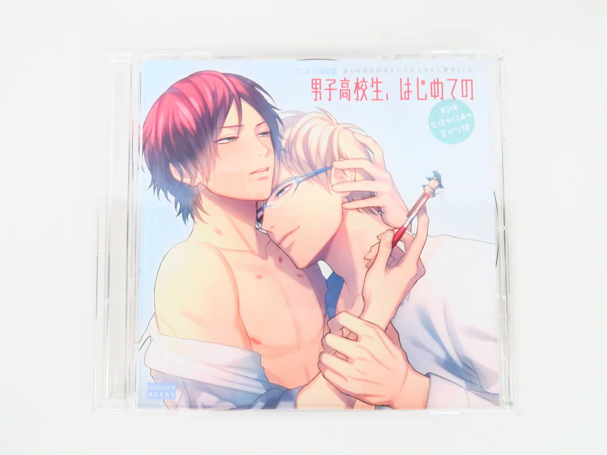 B941/BLCD/男子高校生 はじめての/第3弾 生徒会役員の密かな謀 
