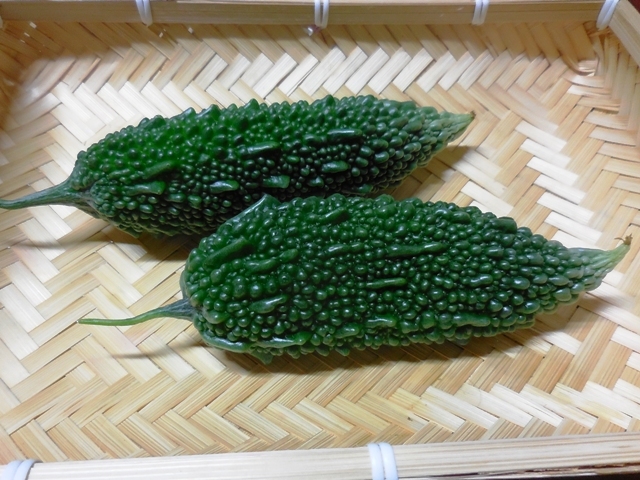 442 6 つるあり野菜 グリーン カーテン 3種類 苗 沖縄 ゴーヤ 食べる ヘチマ テキサス いんげん インゲンマメ プランター 家庭菜園 苗 売買されたオークション情報 Yahooの商品情報をアーカイブ公開 オークファン Aucfan Com