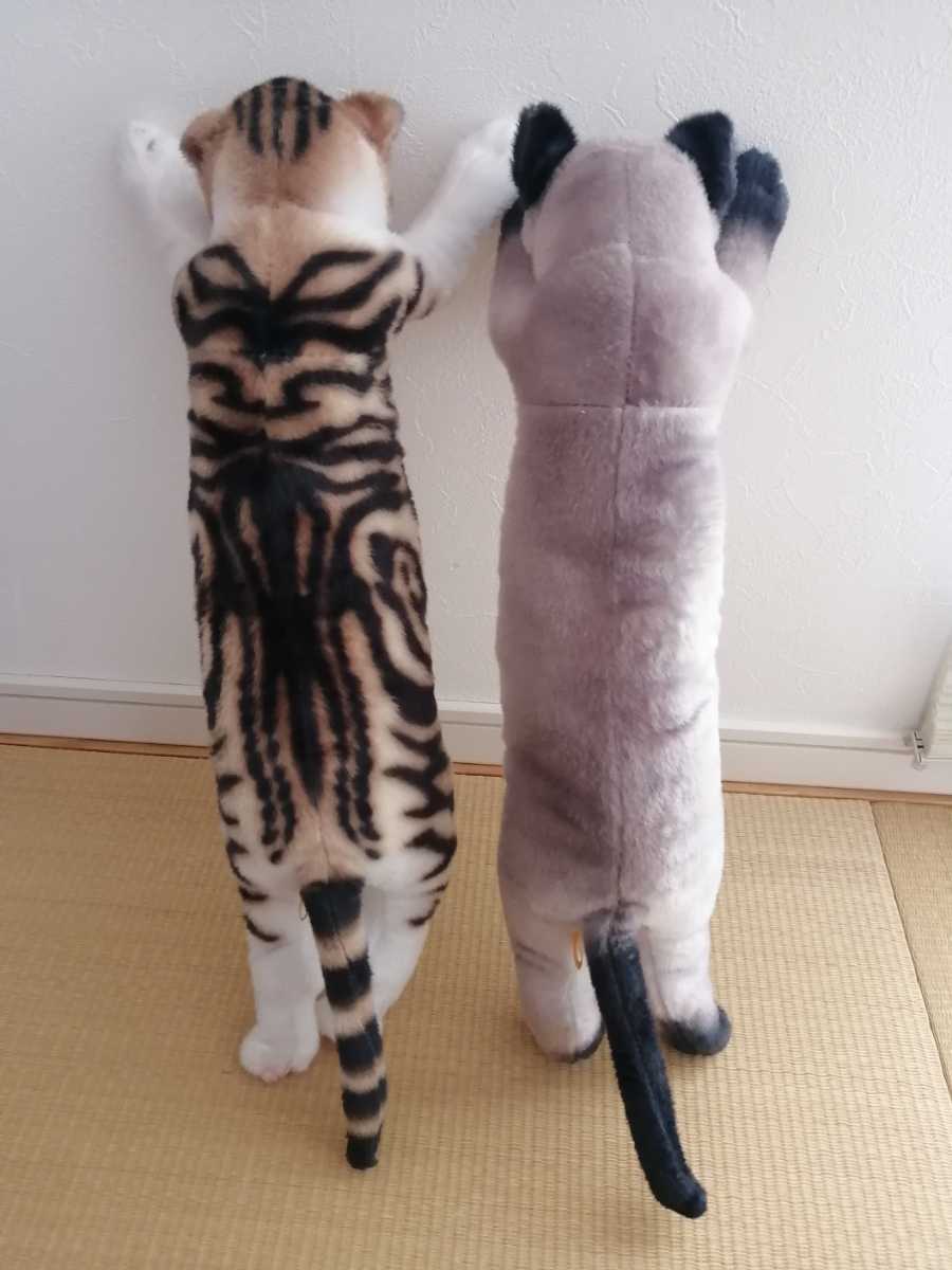 たっちぃzooにゃんこ 2個セット ぬいぐるみ 猫 リアル猫 立つ猫 ネコ好き コレクション 非売品 レア プライズ 景品 ネコ一般 売買されたオークション情報 Yahooの商品情報をアーカイブ公開 オークファン Aucfan Com