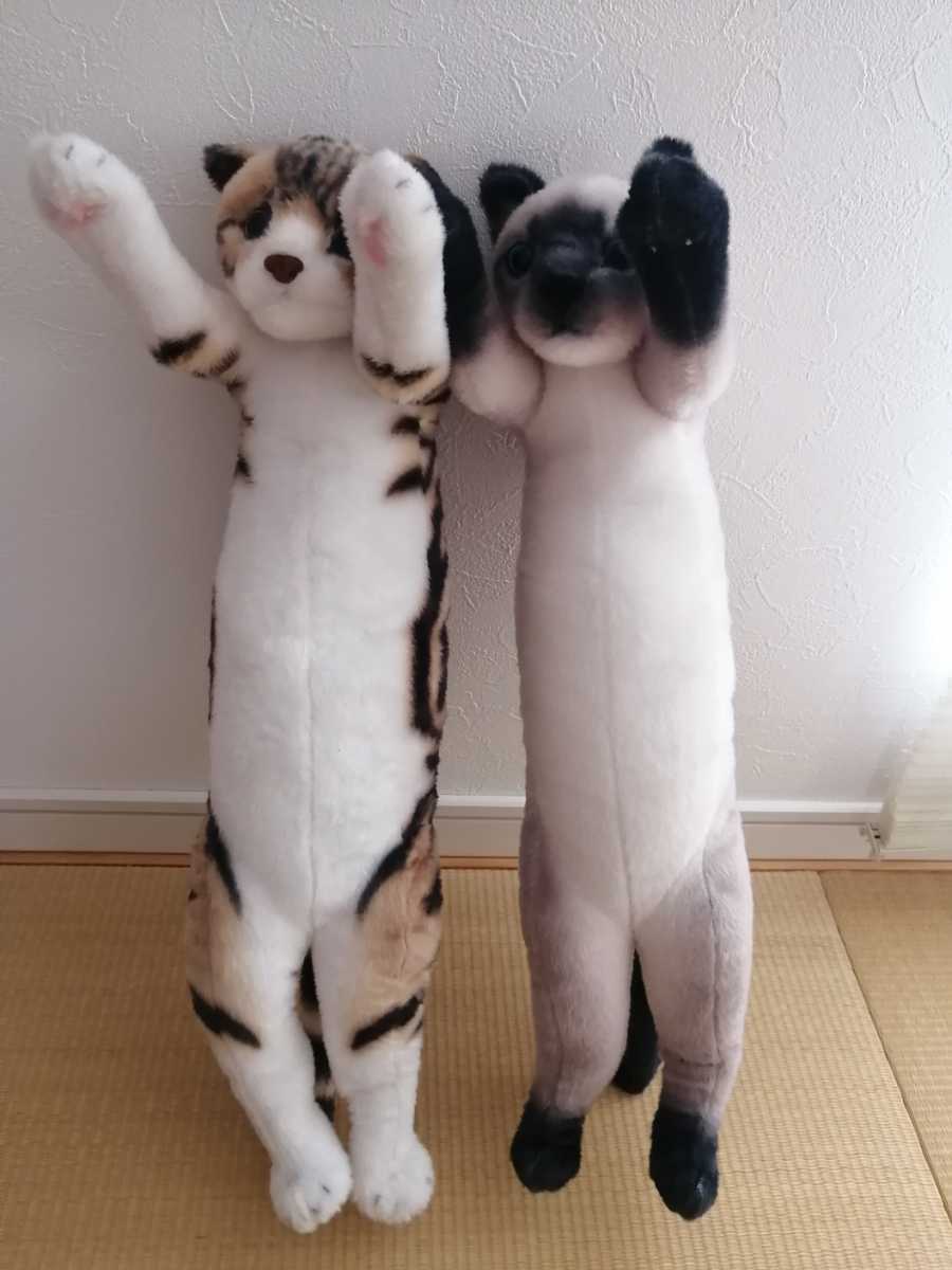 たっちぃzooにゃんこ 2個セット ぬいぐるみ 猫 リアル猫 立つ猫 ネコ好き コレクション 非売品 レア プライズ 景品 ネコ一般 売買されたオークション情報 Yahooの商品情報をアーカイブ公開 オークファン Aucfan Com