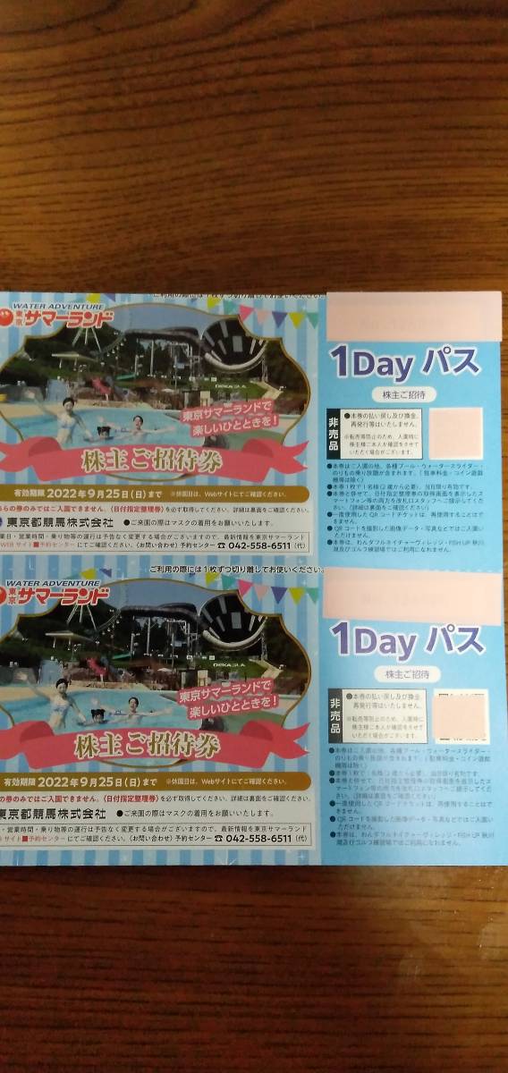 9月25日迄 東京サマーランド 株主優待券3枚 サマーランド☆1dayパス