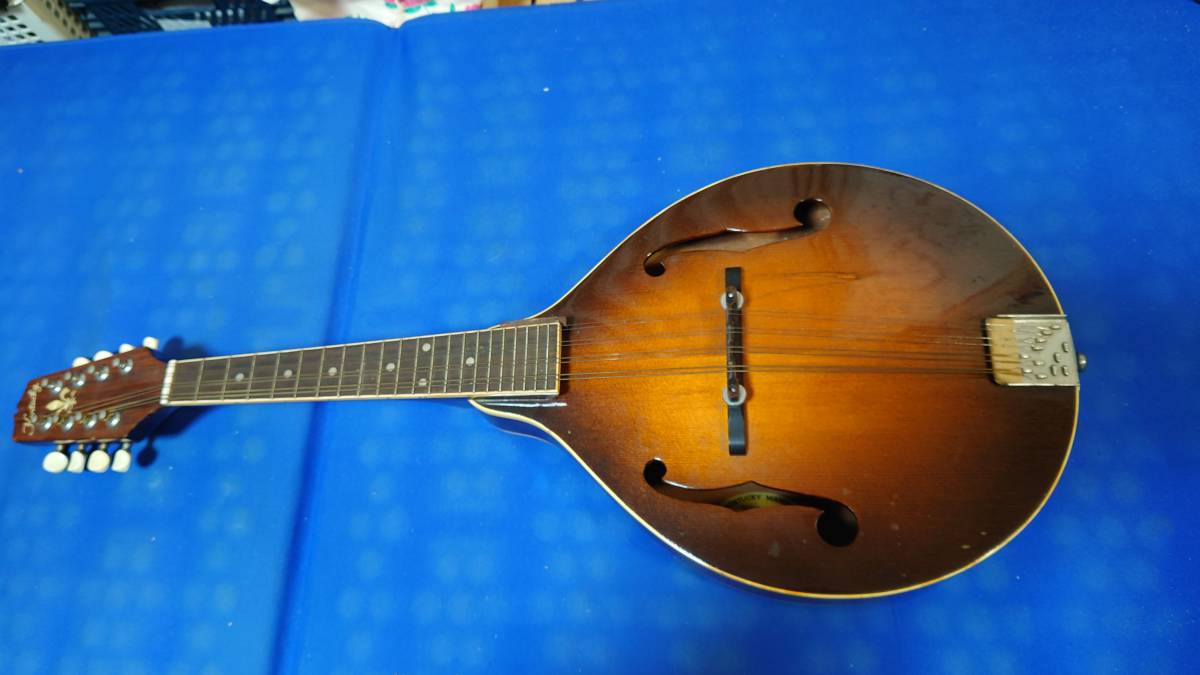 KENTUCKY MANDOLIN ケンタッキーマンドリン KM180S マンドリン