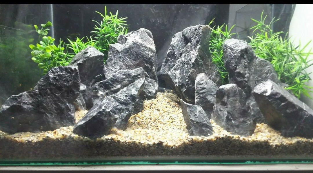 親石の値段と価格推移は 27件の売買情報を集計した親石の価格や価値の推移データを公開