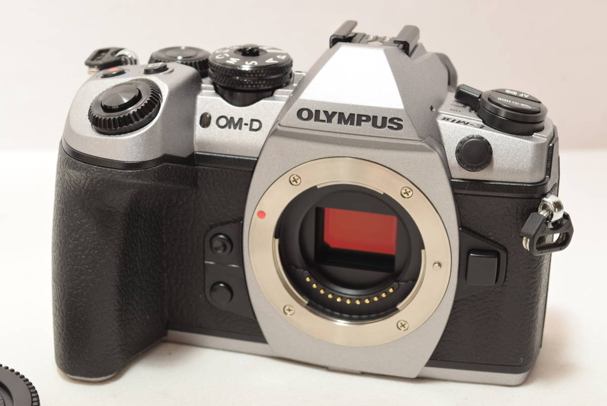 OLYMPUS ミラーレス一眼カメラ OM-D E-M1 MarkII ボディ 公式通販