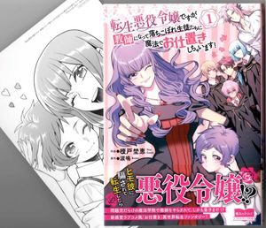 落ちこぼれの値段と価格推移は 493件の売買情報を集計した落ちこぼれの価格や価値の推移データを公開