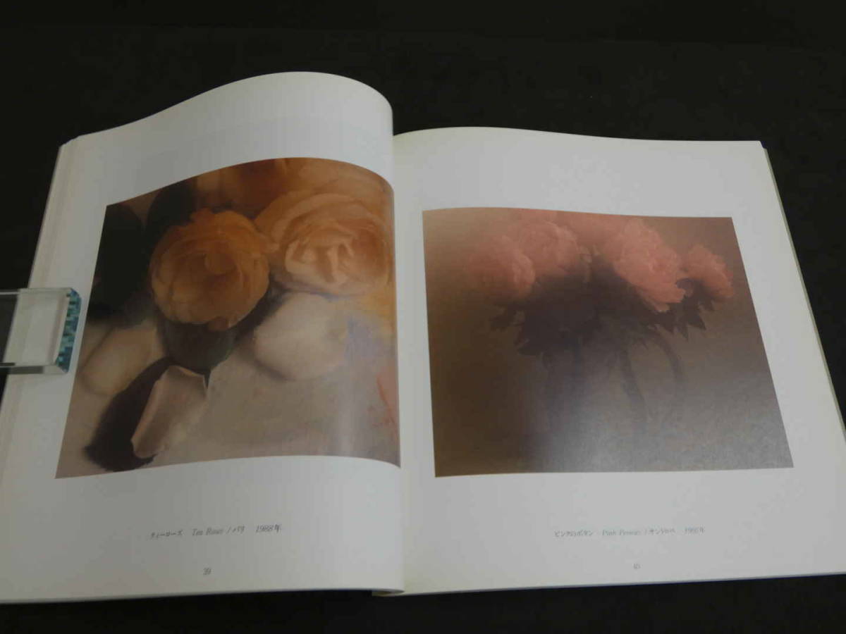TWENYーFIVE YEARS OF AN ARTIST DAVID HAMILTON デヴィット 