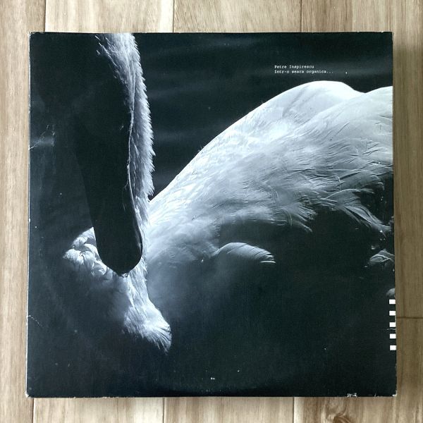 【HOT】 ROU盤/3LP Petre Inspirescu / Intr-o Seara Organica... a:rpia:r / a:rpia:r 07 / ルーマニア / ミニマル / テクノ(テクノ)｜売買されたオークション情報、yahooの商品情報をアーカイブ公開 - オークファン テクノ