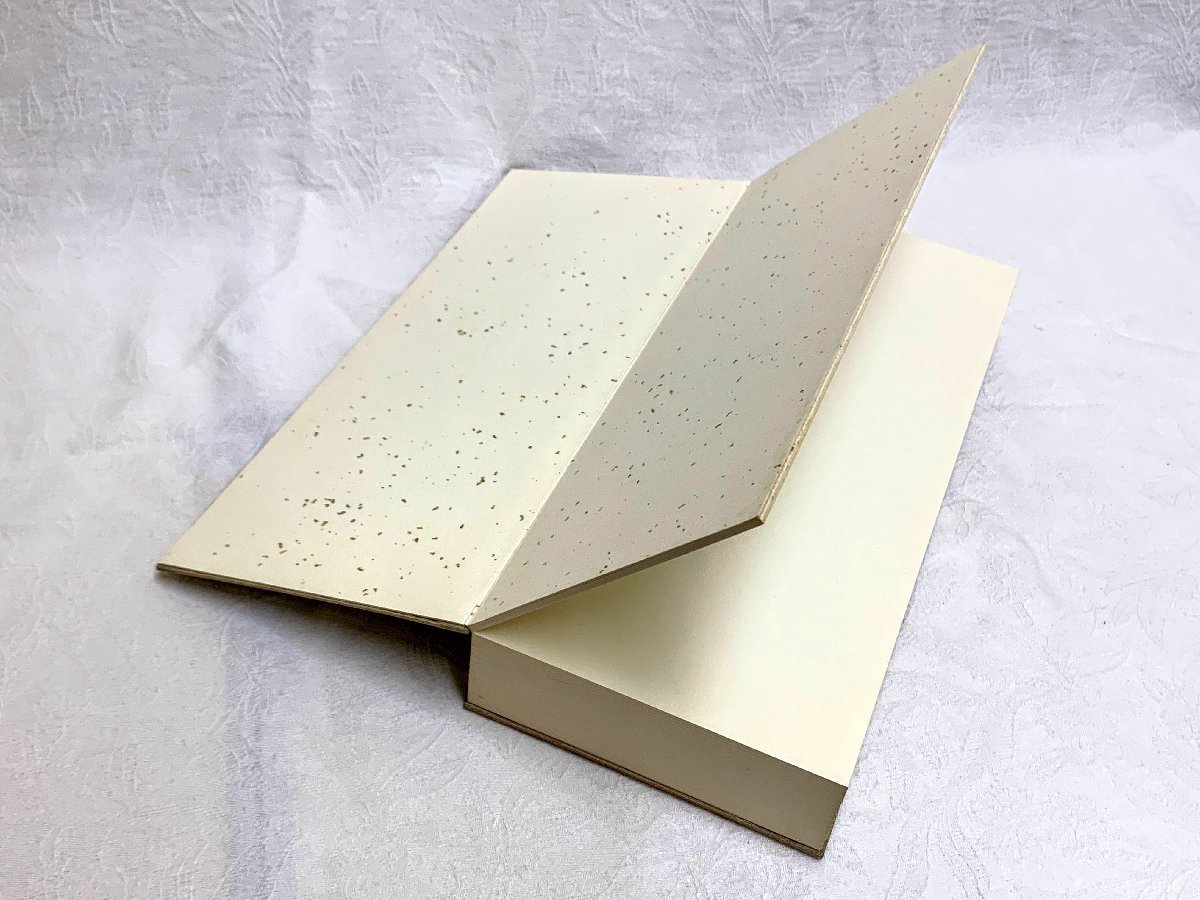 10816/書道家遺品整理品 折帖 布表装 折本 画帖 画帳 書 拓本 唐本和本 