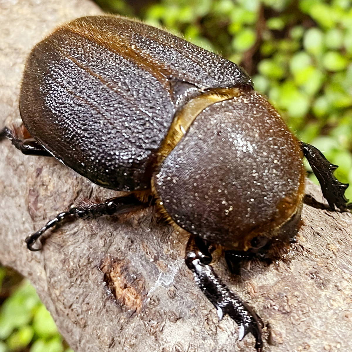 h1067206784.8