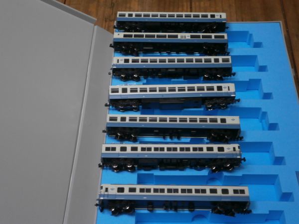 91私鉄編) A-8119 伊豆急 100系 快速 伊豆急Thanks days 号 ロイヤル